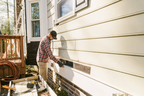 Top rated local Siding Replacement specialists in Trinity, FL